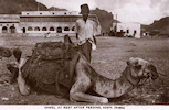 La maison César Tian à Aden-Camp.